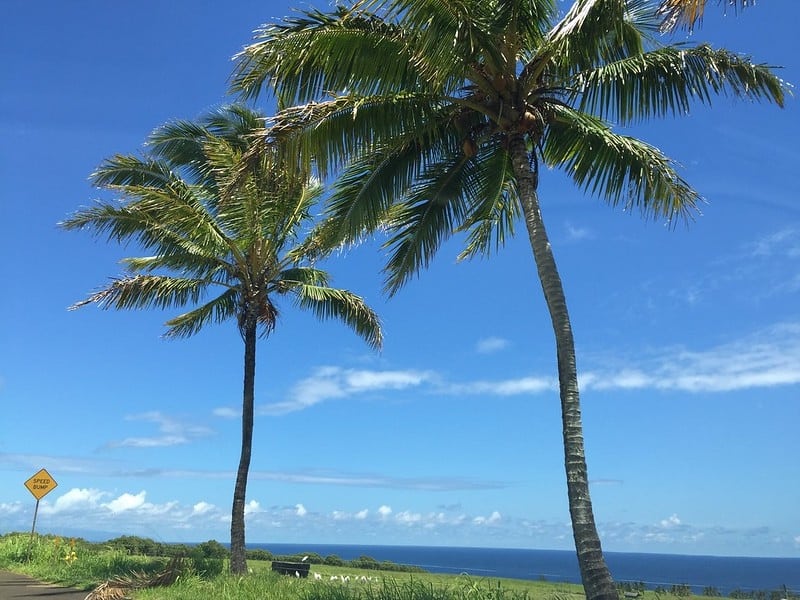 peahi farms maui - land for sale 454 hoolawa office with view