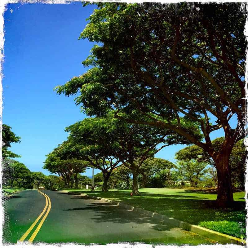 wailea avenue maui sandy tidepools