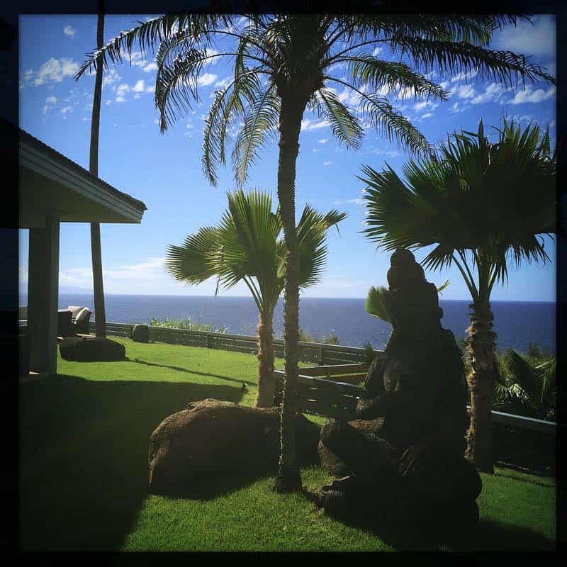 2175 Hana Hwy ocean view yard makena maui homes for sale