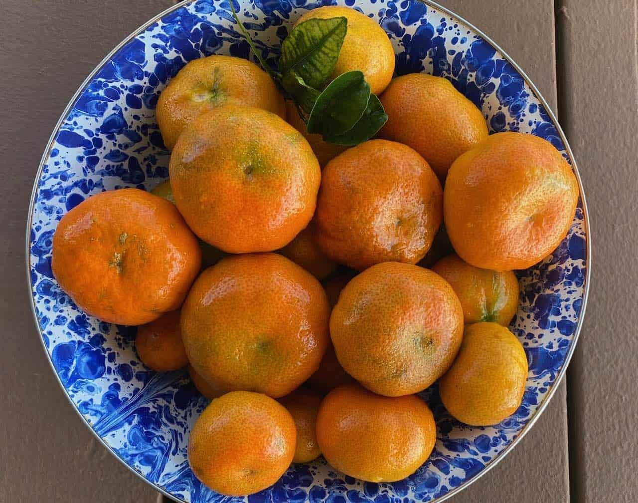 bowl of tangerines bowl of tangerines