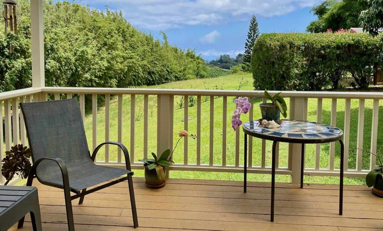 looking out the back door in haiku maui